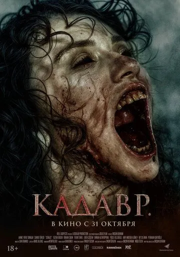 Турецкий сериал Кадавр смотреть онлайн бесплатно без регистрации