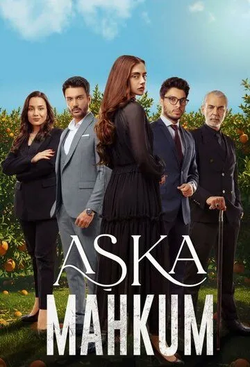 Турецкий сериал Заключенный любви смотреть онлайн бесплатно без регистрации