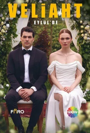 Турецкий сериал Наследник смотреть онлайн бесплатно без регистрации